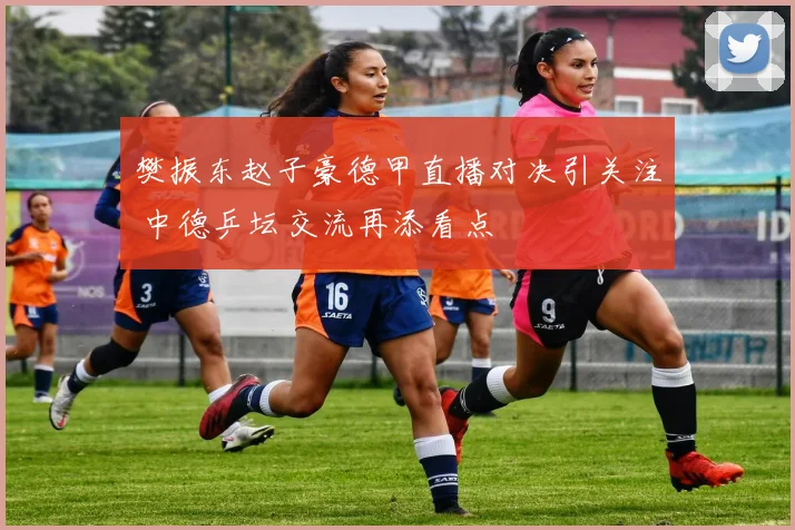 樊振东赵子豪德甲直播对决引关注 中德乒坛交流再添看点