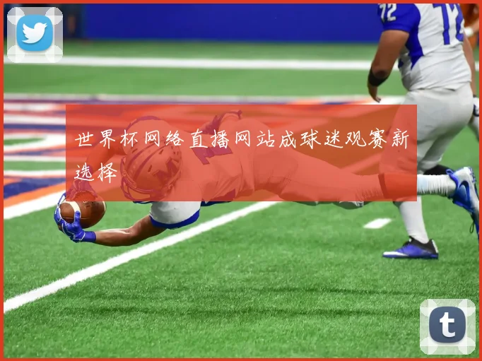 世界杯网络直播网站成球迷观赛新选择