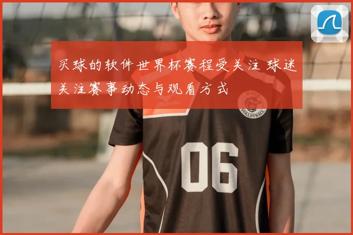 买球的软件世界杯赛程受关注 球迷关注赛事动态与观看方式