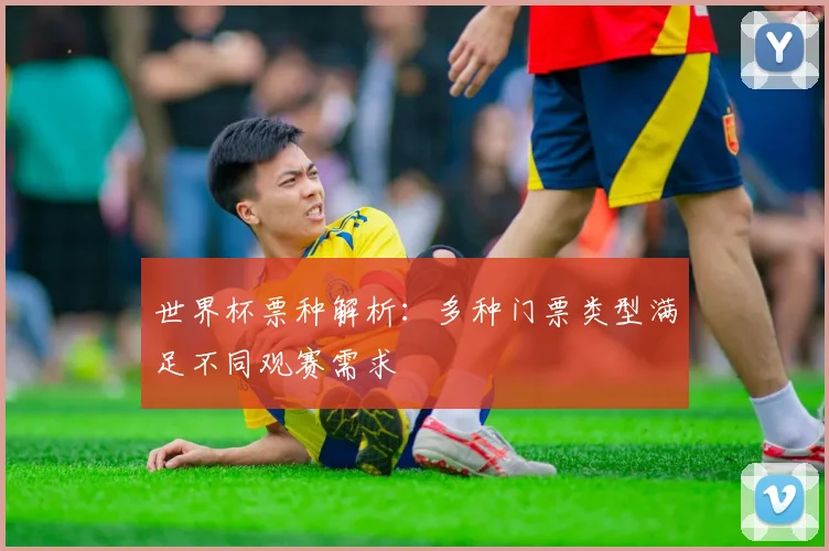 世界杯票种解析：多种门票类型满足不同观赛需求