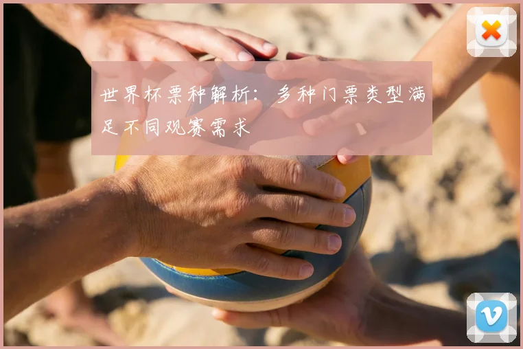 世界杯票种解析：多种门票类型满足不同观赛需求