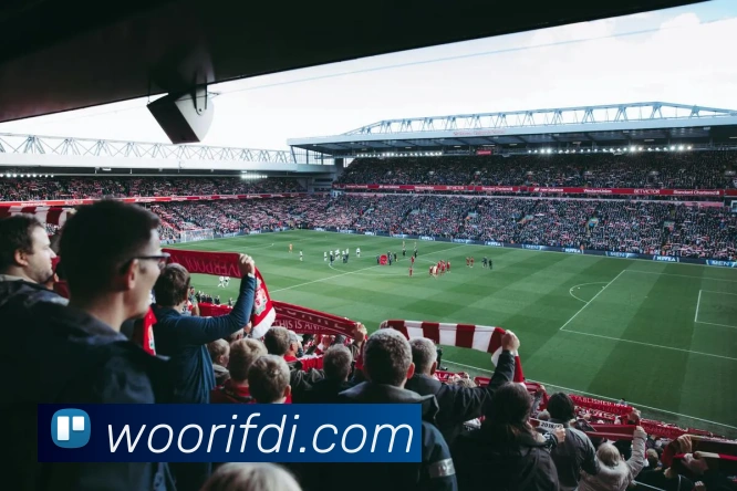 开云kaiyun网页版平台生态图