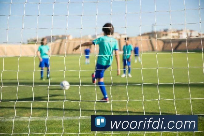 开云kaiyun网页版APP 封面图